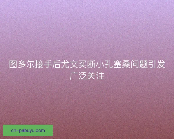 图多尔接手后尤文买断小孔塞桑问题引发广泛关注