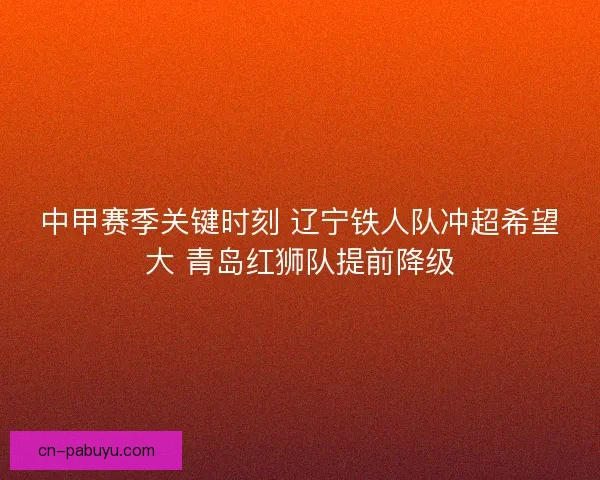 中甲赛季关键时刻 辽宁铁人队冲超希望大 青岛红狮队提前降级 中甲赛季关键时刻 辽宁铁人队冲超希望大 青岛红狮队提前降级